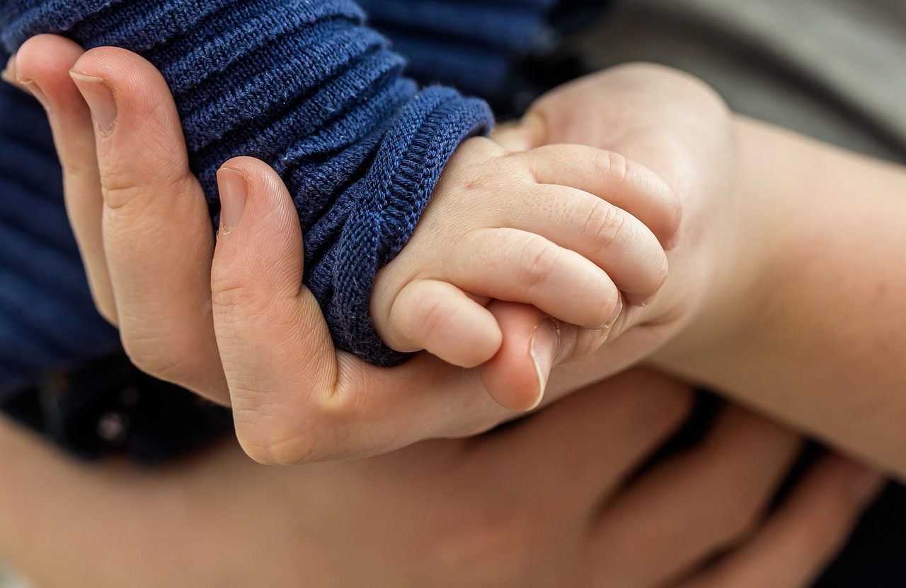 toddler hand, child's hand, hand-4867454.jpg